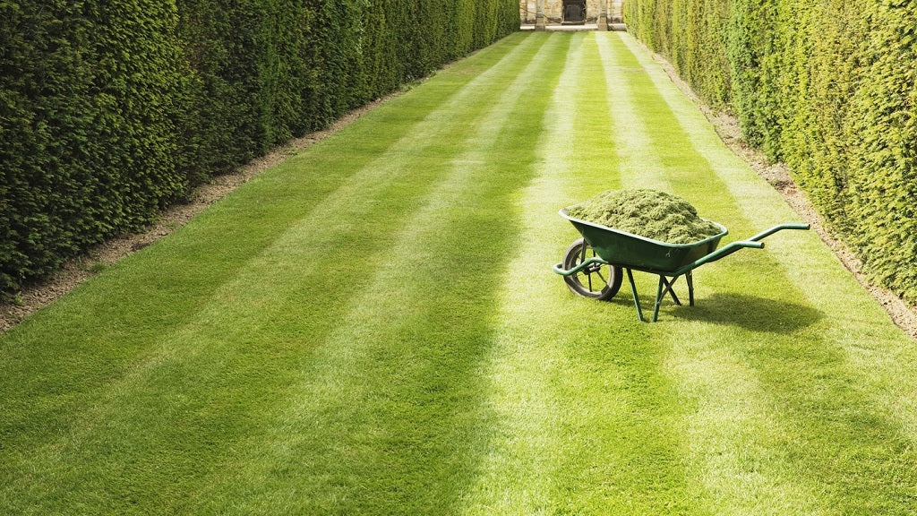 5 Tips on Fixing The Most Common Natural Grass Issues
