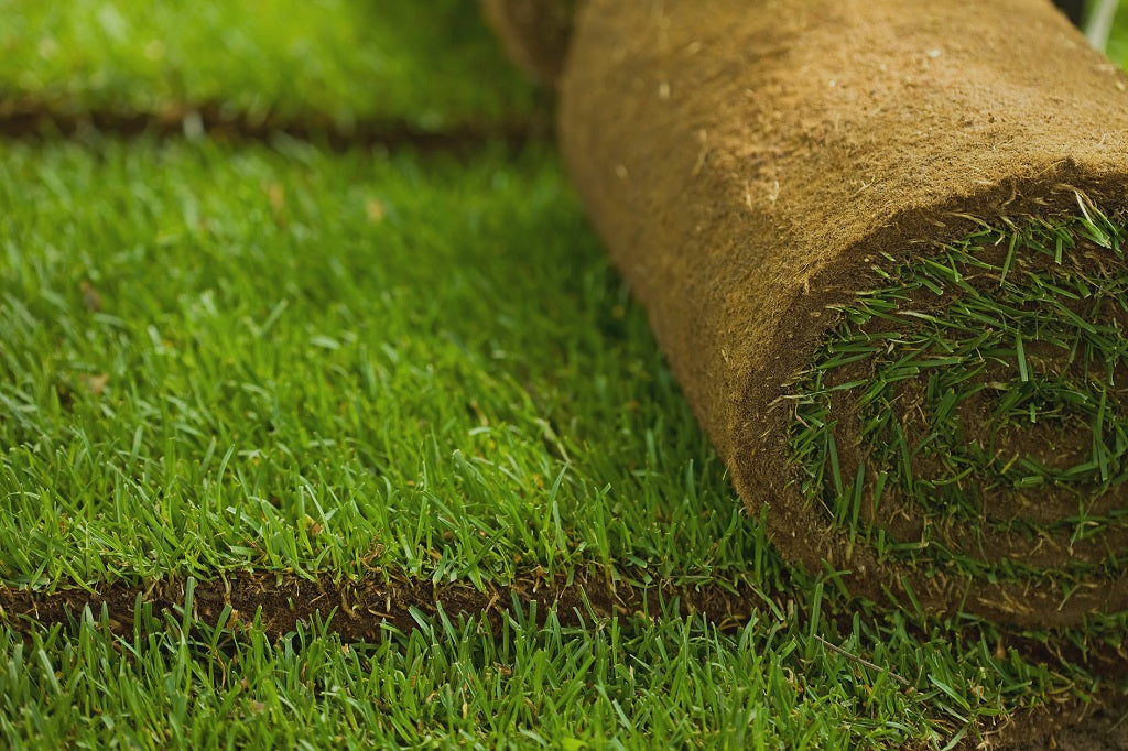 How To Determine If You Had An Excellent Turf Product Buy