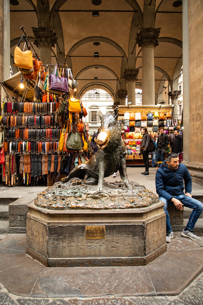 Bronze wild boar fountain (Fontana del Porcellino)