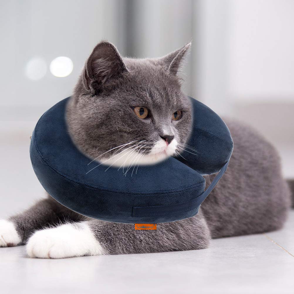 e collar for cats