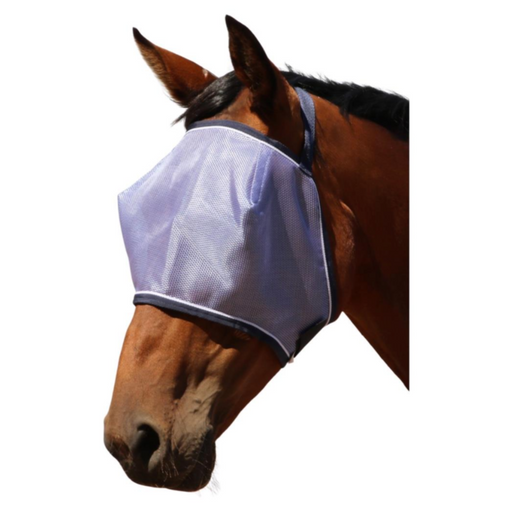 Showman® Sleepy Eyes Mesh Fly Mask – Dark Horse Tack Company