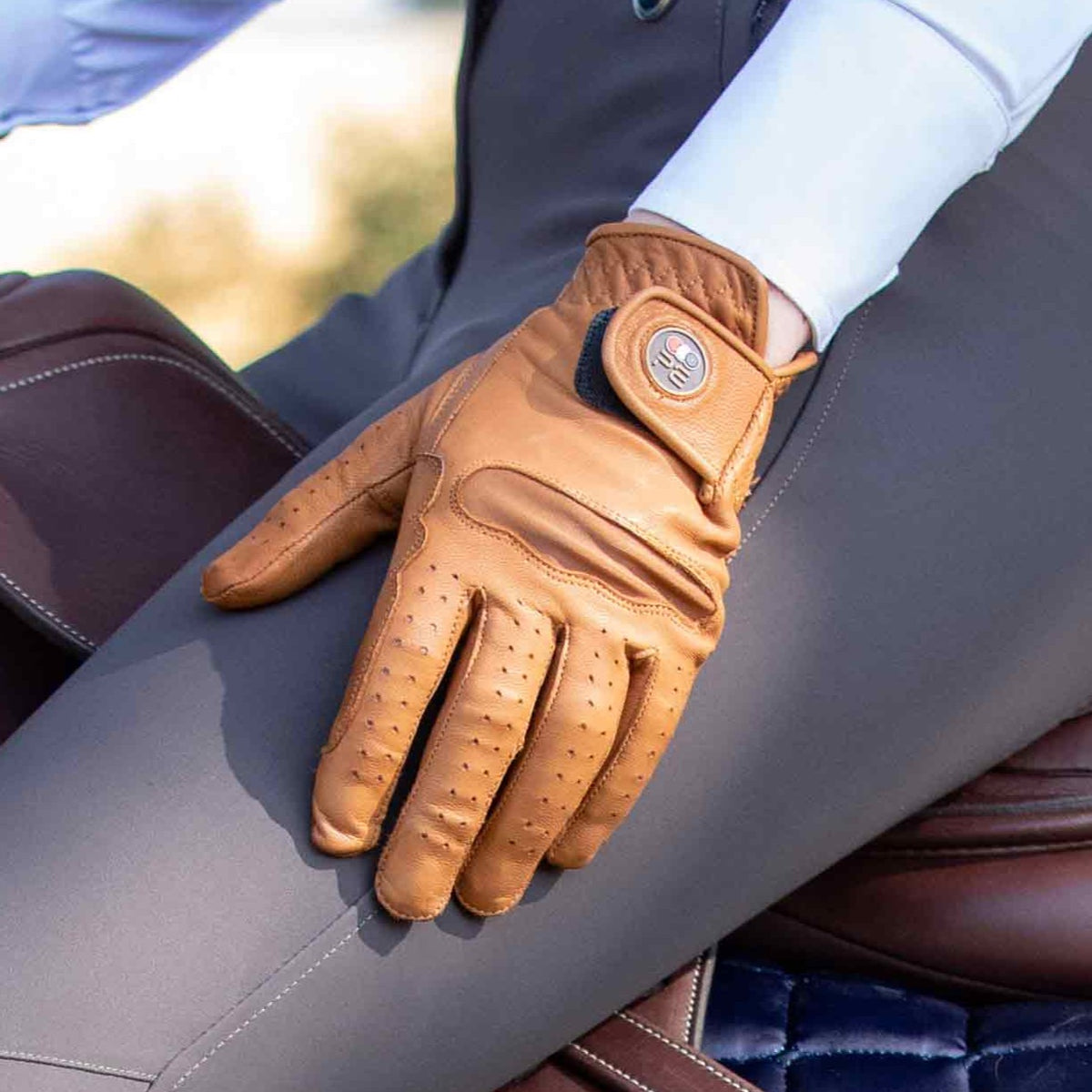 premier equine gloves