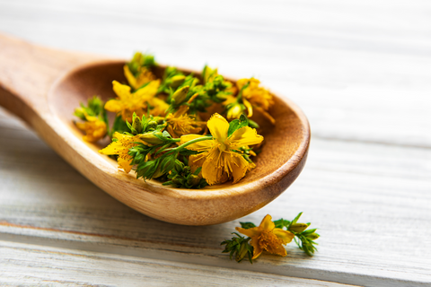 St Johns Wort