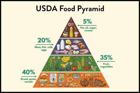 usda food pyramid