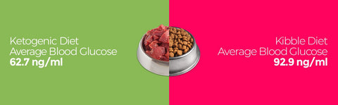 blood glucose on carb vs keto dog food