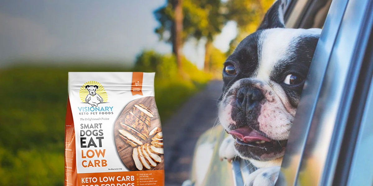 Testimonials Visionary Ketogenic Dog Food