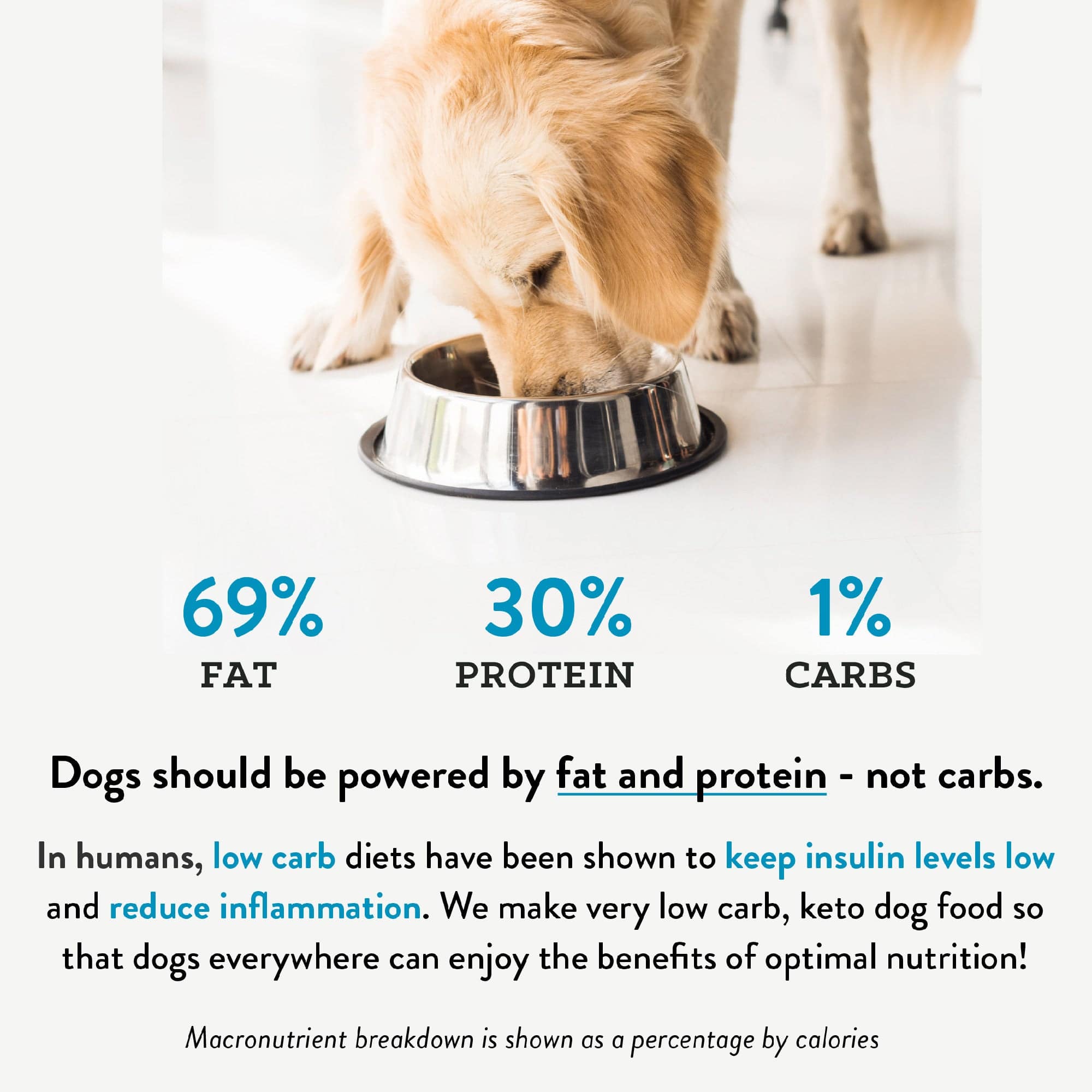 Golden retriever eating from a bowl with text on macronutrient breakdown advocating high fat and protein diet for dogs.