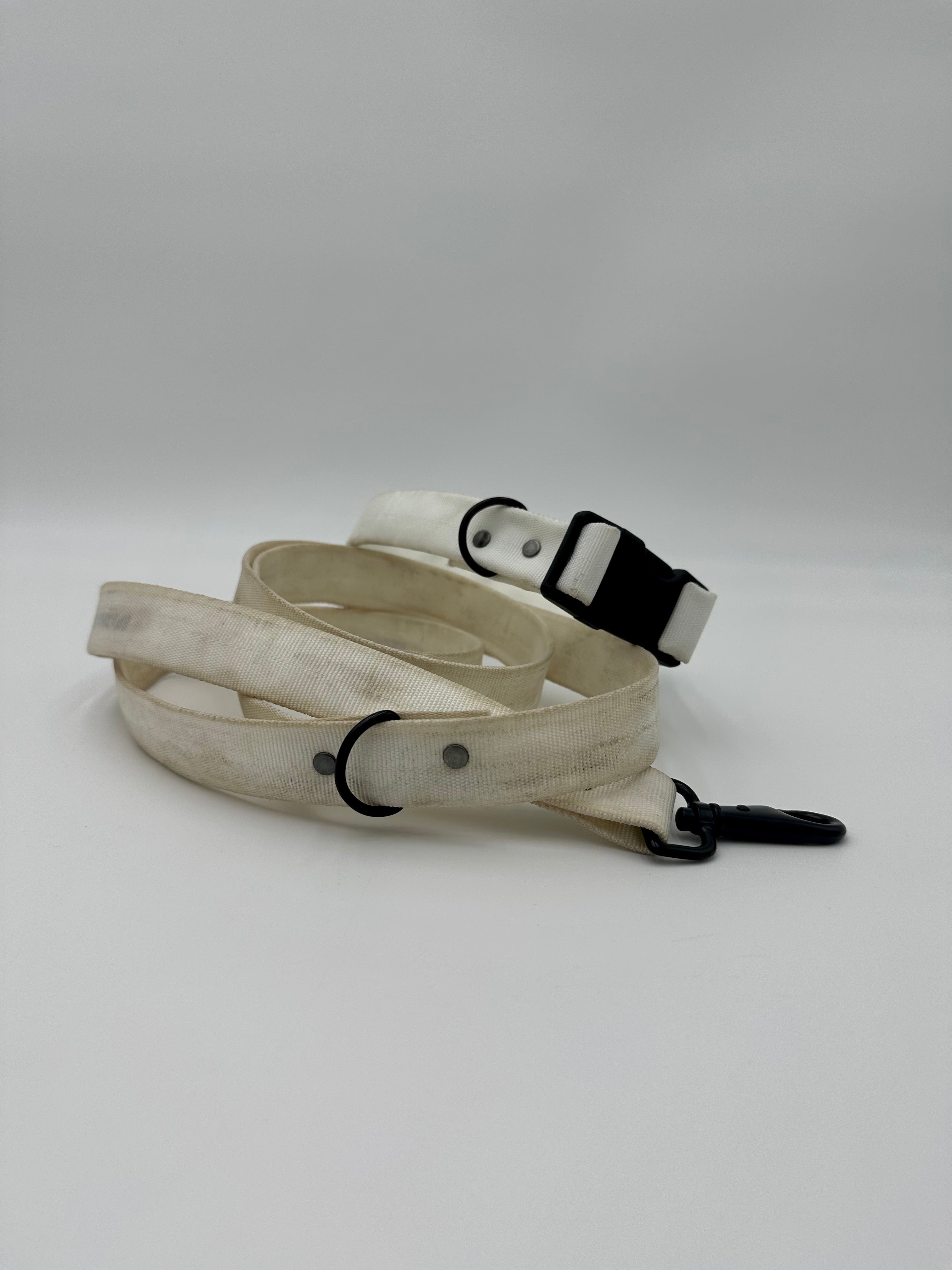Dog Leash and Collar Set