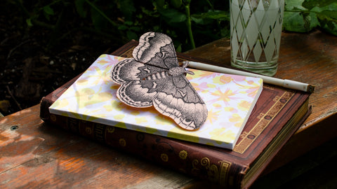 Moth Paper Sculpture on Journal and Book