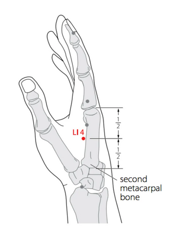 The Hand Gate