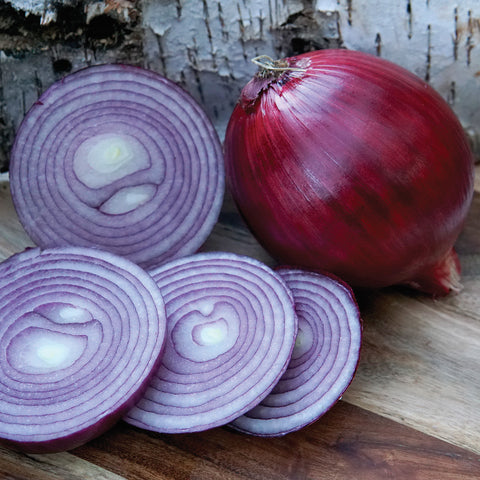 Monastrell - Organic (F1) Onion Seed