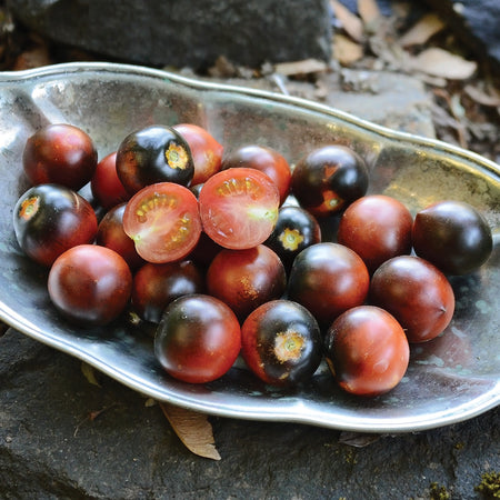 Indigo Cherry Drops Tomato Seed Territorial Seed Company