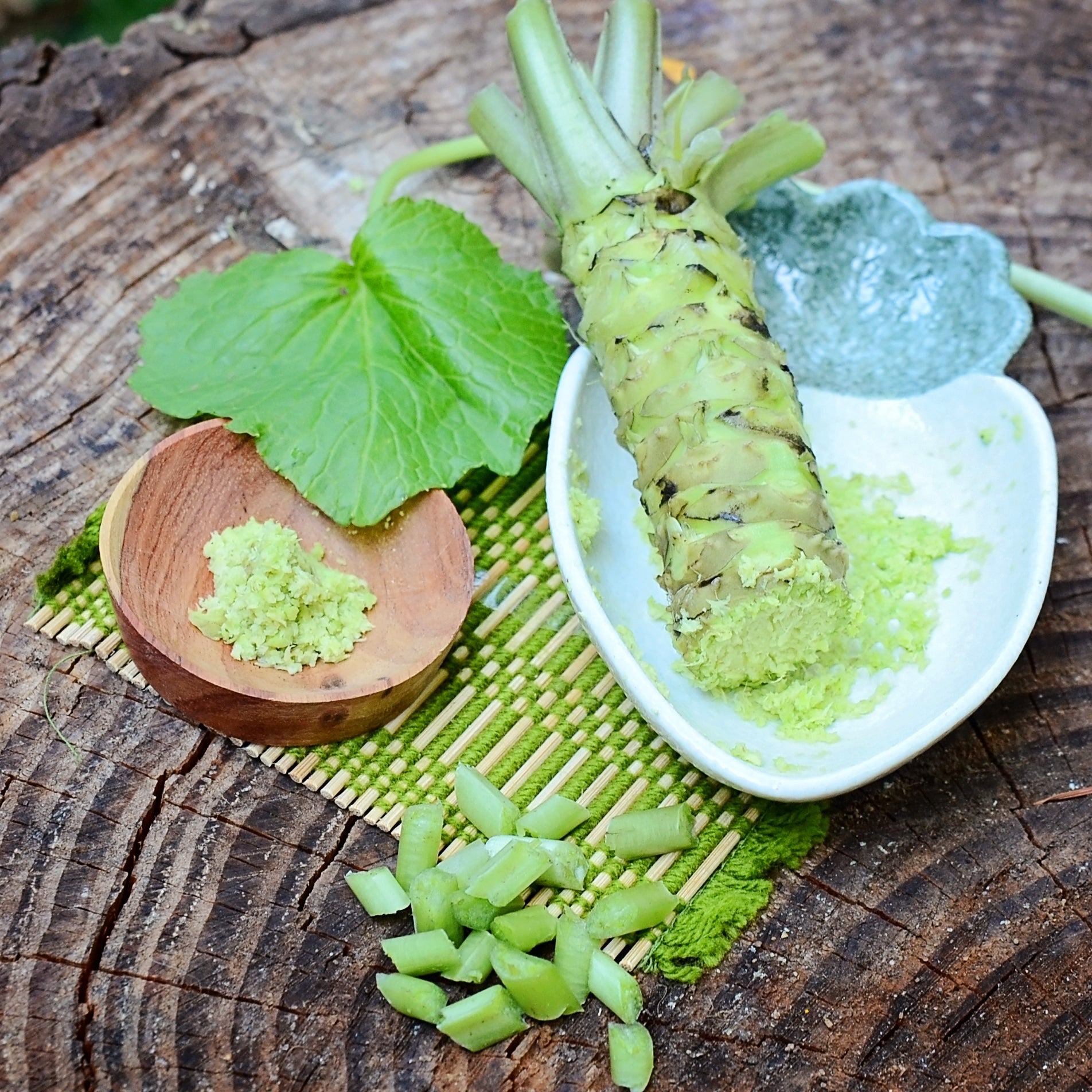 Wasabi Plant - Territorial Seed Company | Territorial Seed