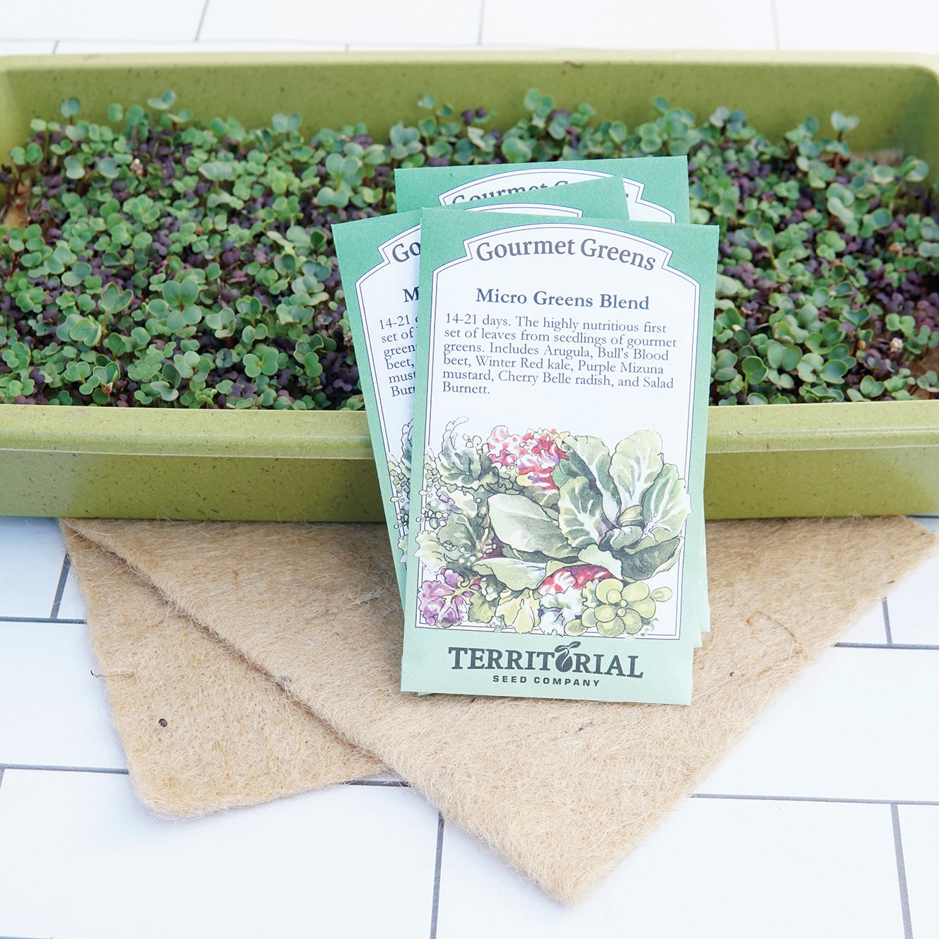 Mighty Microgreens Kit - Territorial Seed Company