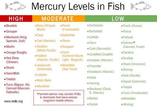 Seafood Mercury Levels Chart