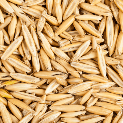 oat kernels