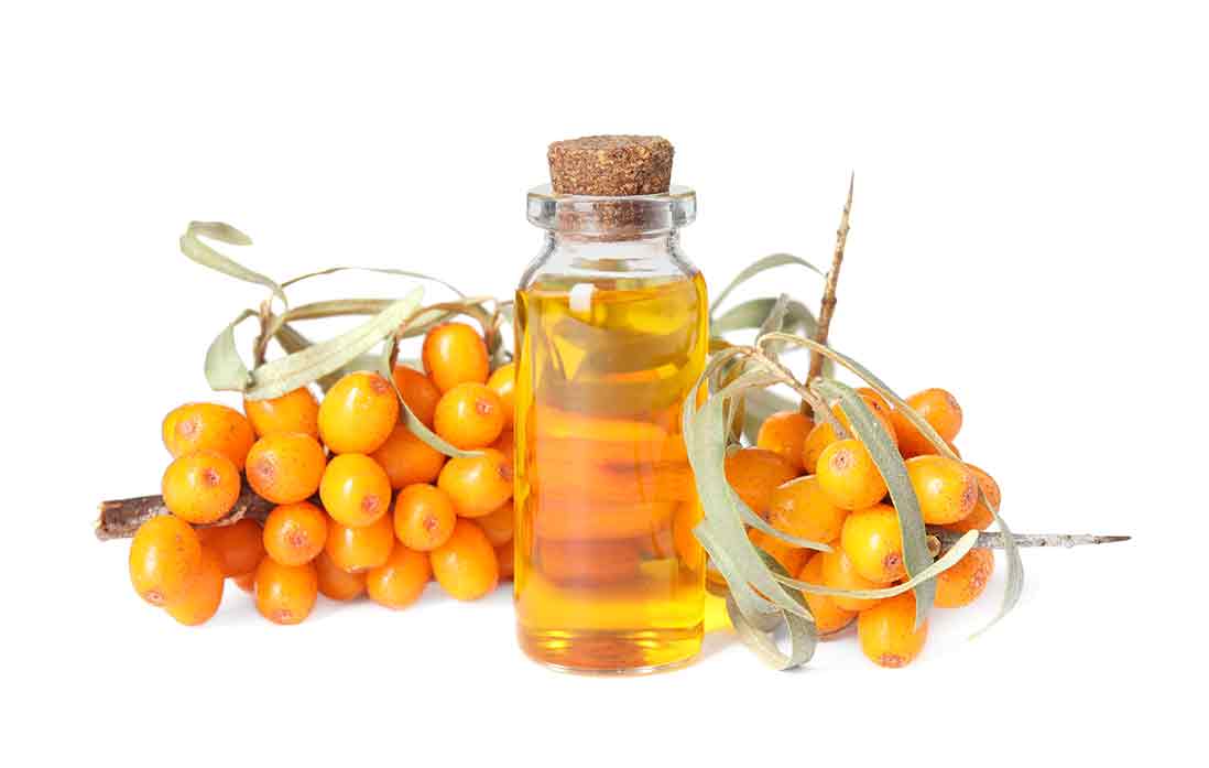 With its bioactive components like phytosterols, flavonoids, unsaturated fatty acids and vitamins sea buckthorn oil has shown its potential for cardioprotective activity.