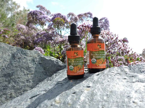 I also use the Sea Buckthorn Berry Oil topically. I have been so impressed with how it makes my hair and skin feel and look. The berry oil is bright orange, so I do have to be careful when applying it. Occasionally, I develop psoriasis patches and I use the berry oil to help clear up the blemishes and ensure there is no scarring. This is a major benefit for me because I do not have to use a prescription. I also used the berry oil during and after my pregnancy to minimize the appearance and long term scarring from stretch marks.  Click Here to Learn More About Sea Buckthorn and Psoriasis