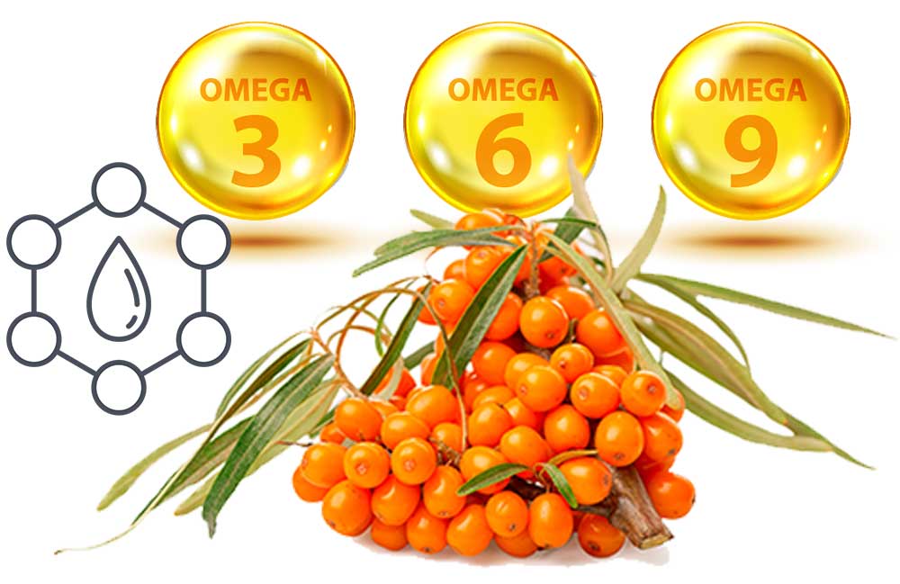 When it comes to dryness related to the dysfunction of mucous membranes in the body, inflammation is often the cause. Sea buckthorn oil creates a hydrating effect but, in most cases, it’s actually due to the antioxidant and soothing properties. As we will see, sea buckthorn oil works on a cellular level to help bring stasis and relief to a number of dryness related conditions. 
