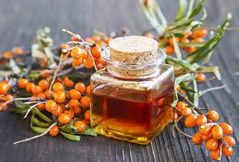 Sea Buckthorn is the Ultimate Omega Source 