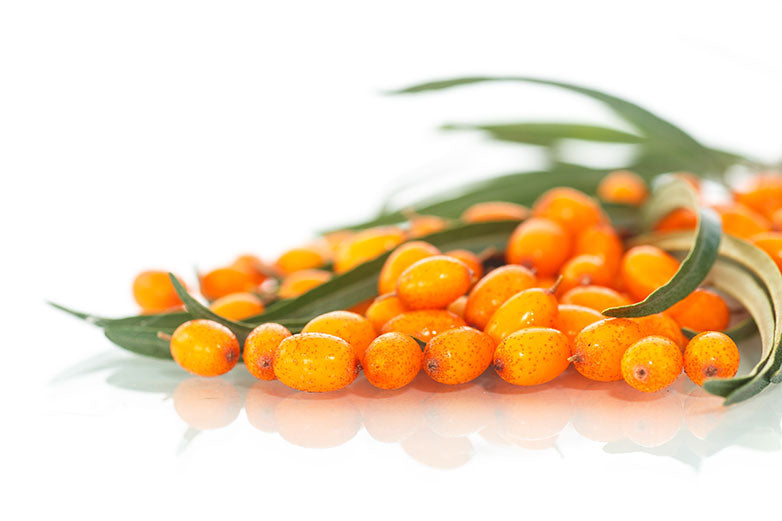 Is omega 6 from Sea Buckthorn oil healthy? 