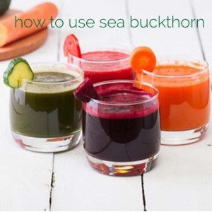 Using Sea Buckthorn