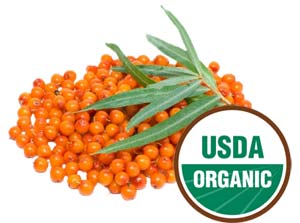 USDA Organic Sea Buckthorn Berries
