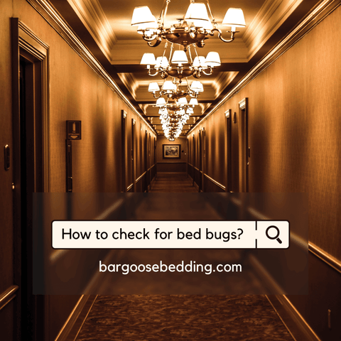 How to check for bed bugs?