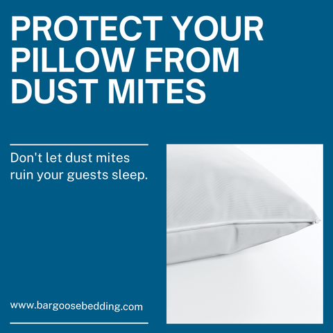 Protect Your Pillows From Dust Mites