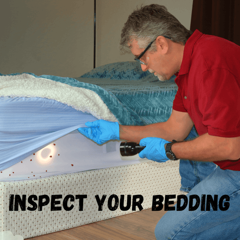 Inspect Your Bedding