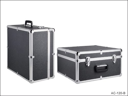 accordion case