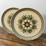 Denby / Langley Sherwood Dinner Plates