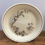 Royal Doulton Bredon Hill Dinner Plate