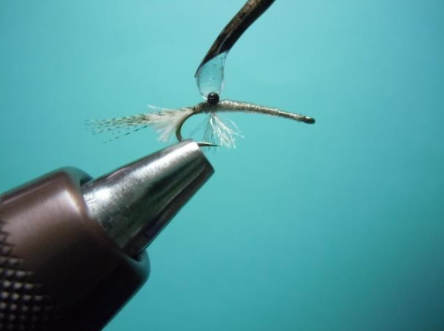 Adding epoxy to sands mysis shrimp pattern.