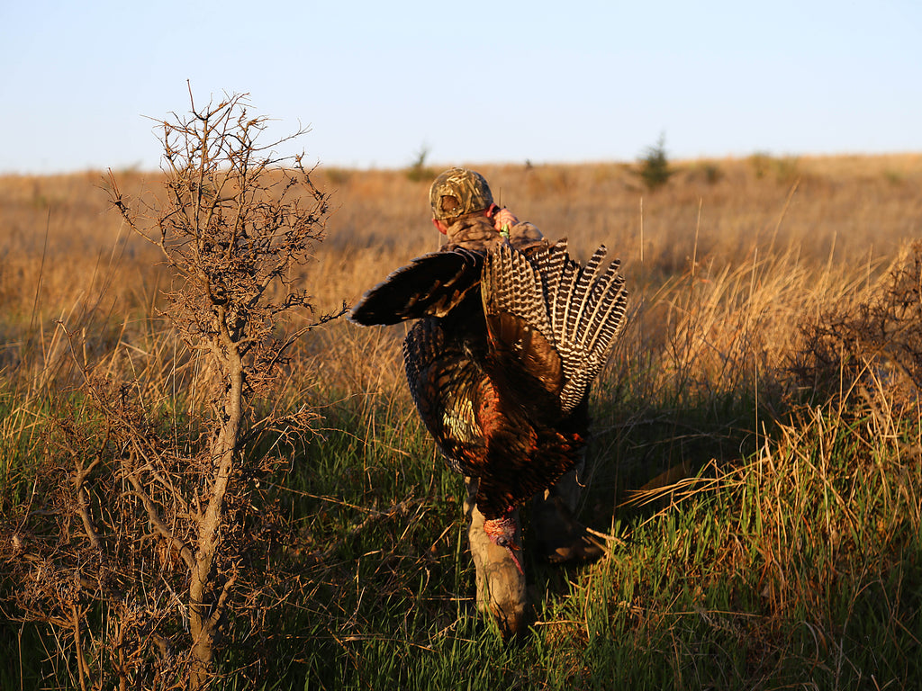 youth turkey hunting with heads up decoy