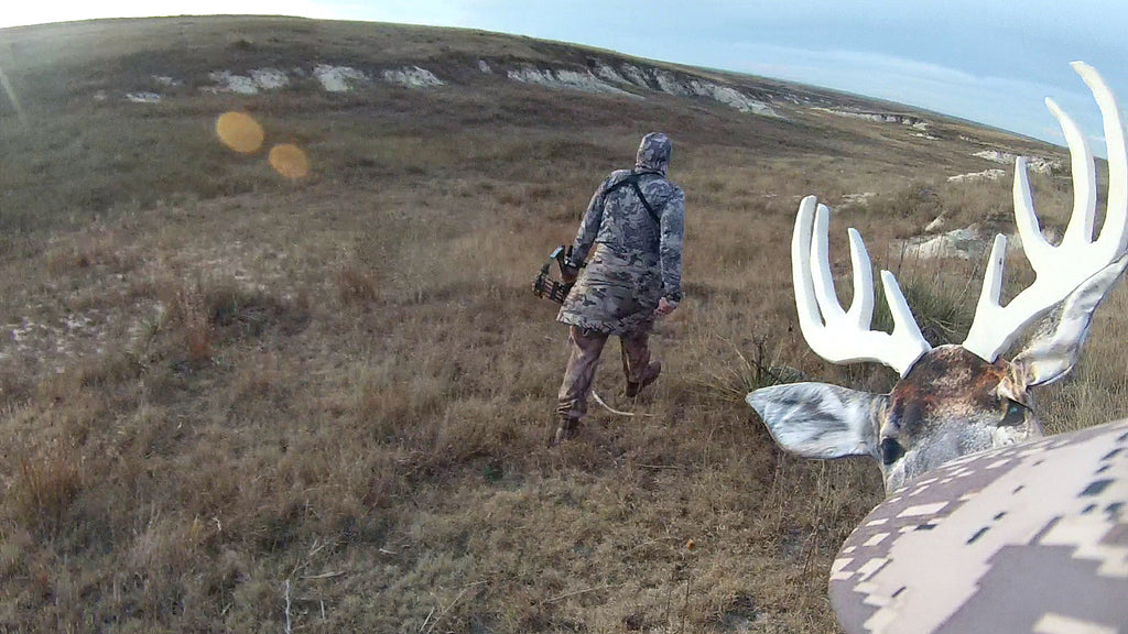 Hunting open country whitetail deer