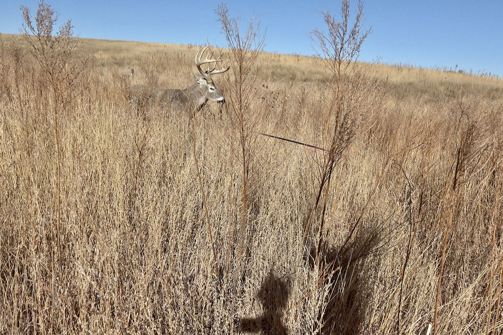 Screen shot of arrow in flight heading towards a giant whitetail buck decoyed using Heads Up Decoy