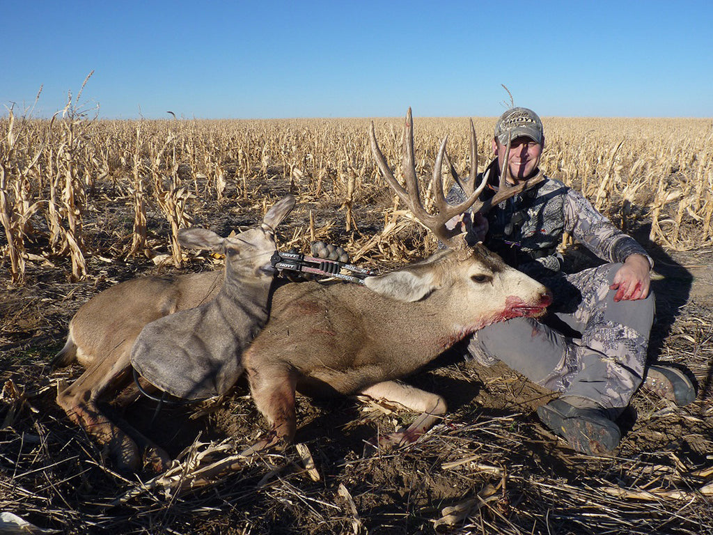 bow hunting mule deer in open country