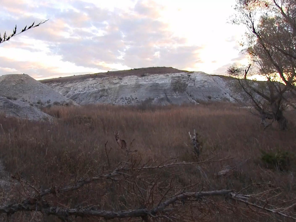 how to use heads up decoys for whitetail hunting from the ground