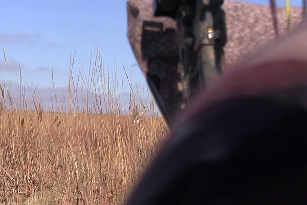 bowhunting whitetails from the ground with heads up decoy