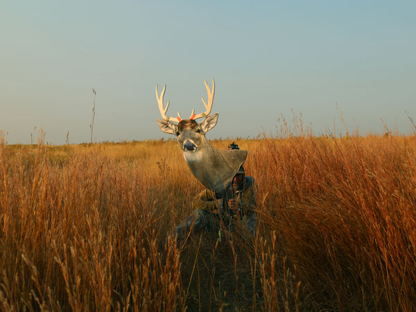 Heads Up Decoy Whitetail Buck Decoy new design with orange straps