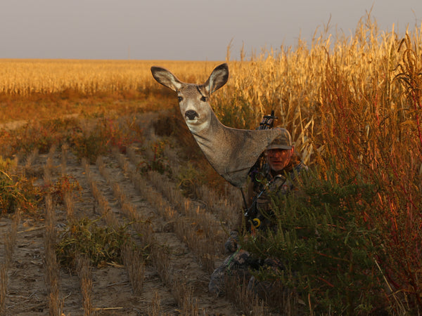 Heads Up Decoy Mule Deer Doe Decoy New Design