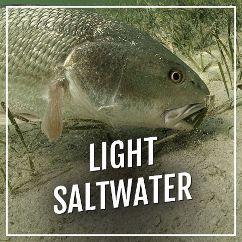 Light Saltwater Blanks – MHX