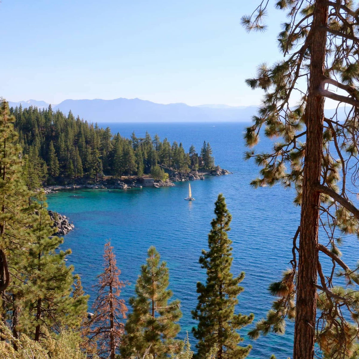 Your Ultimate Guide To Hiking And Camping In Tahoe National Forest Banner Oak