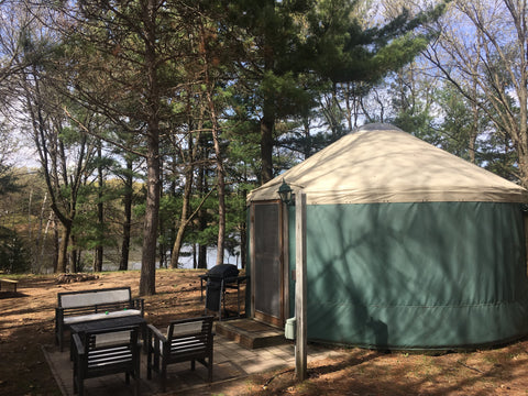 yurt in the shade of trees