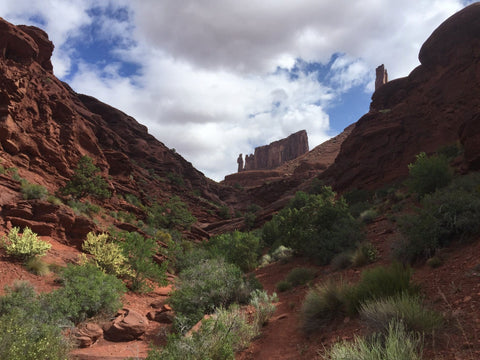 Castleton Tower campground in Arches National Park.