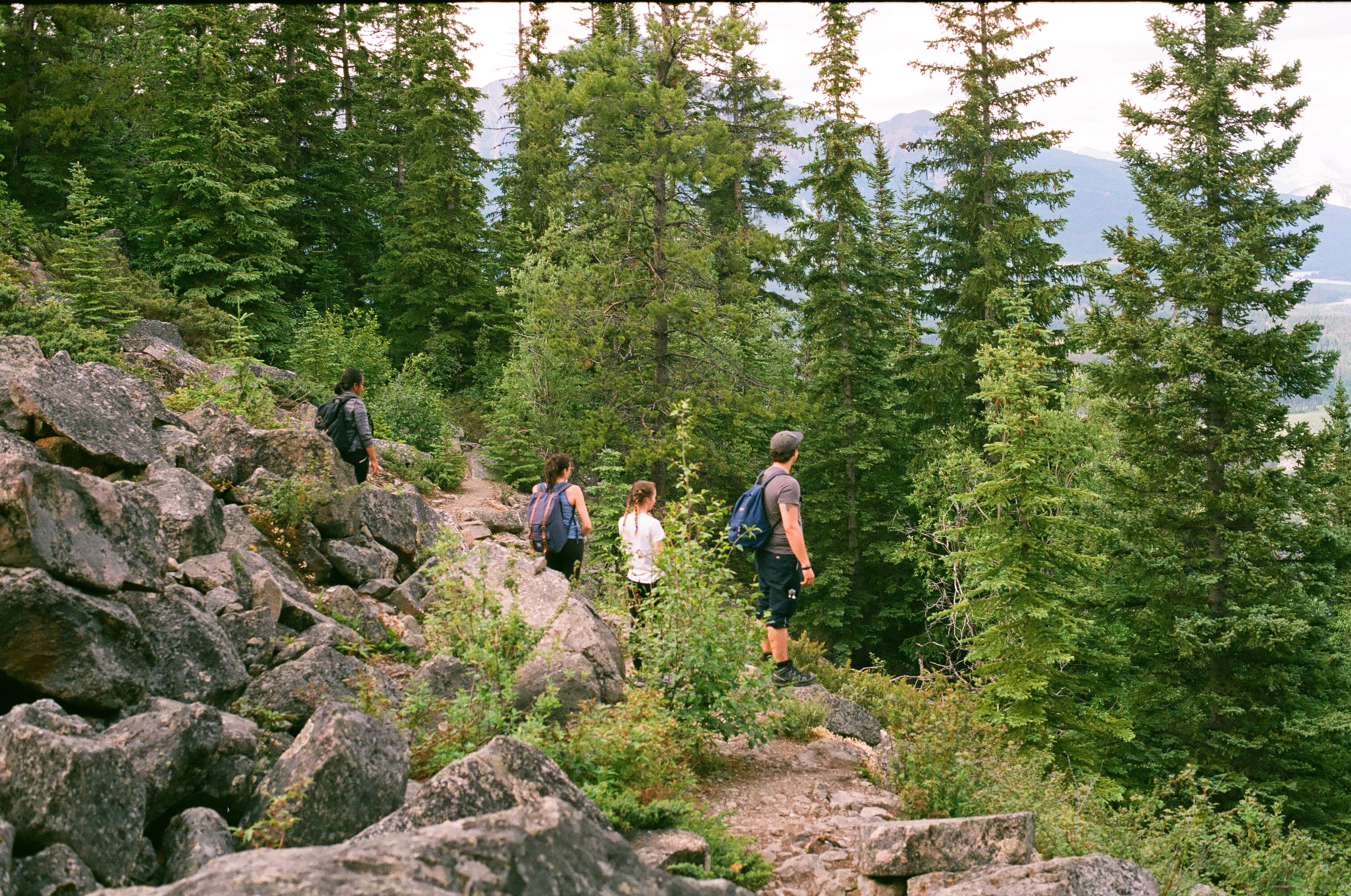 Taking a break just below the tree line