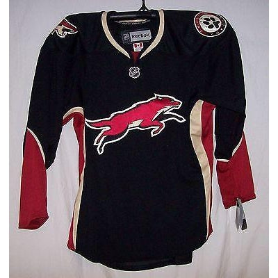 phoenix coyotes 3rd jersey