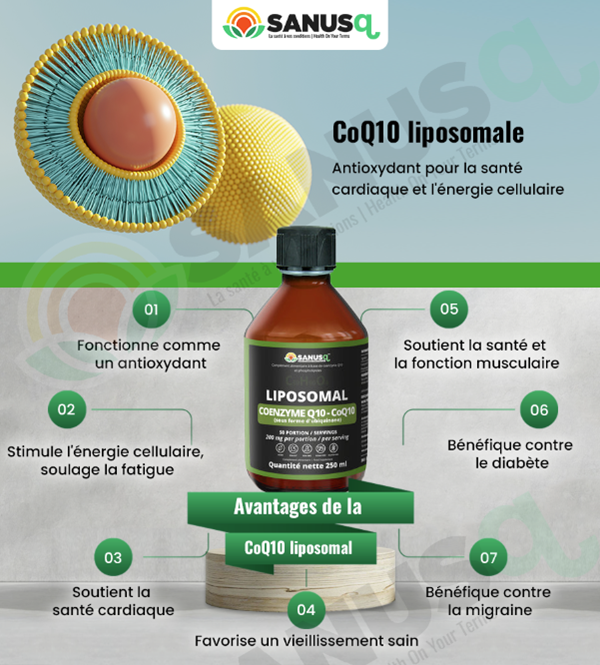 Avantages de la CoQ10 liposomale
