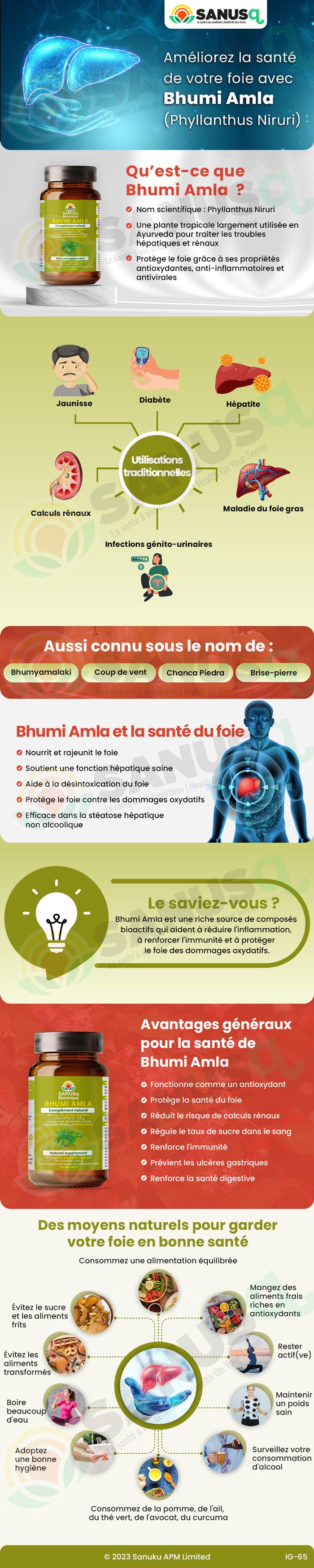 Améliorez la santé de votre foie avec Bhumi Amla